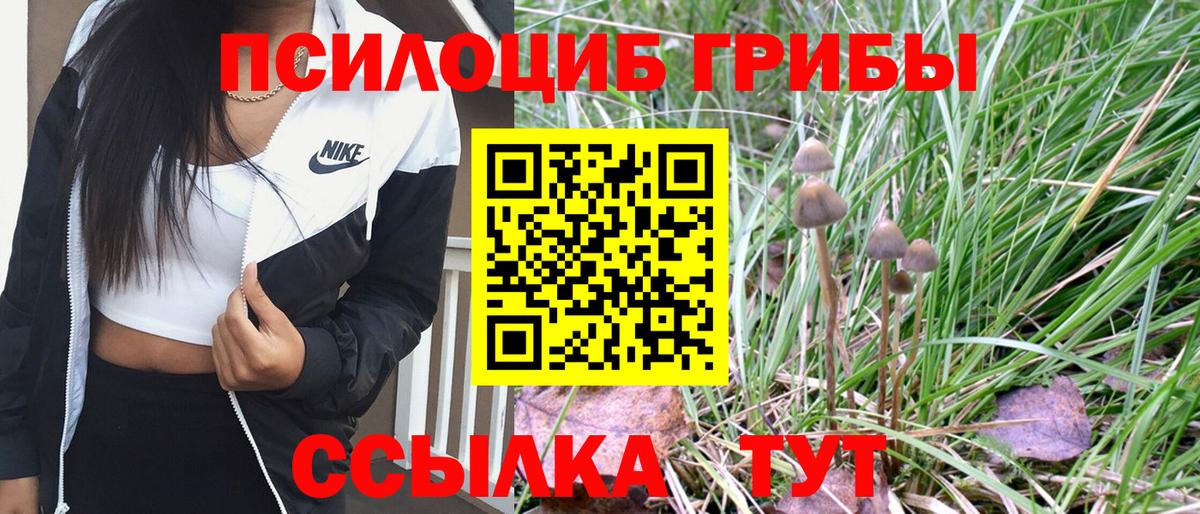 Галлюциногенные грибы Cubensis Протвино